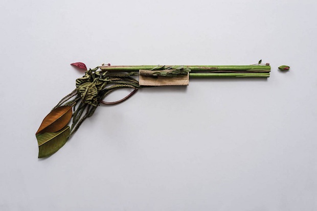 http-::petapixel.com:2013:05:14:harm-less-a-photo-series-of-firearms-made-entirely-out-of-plants: